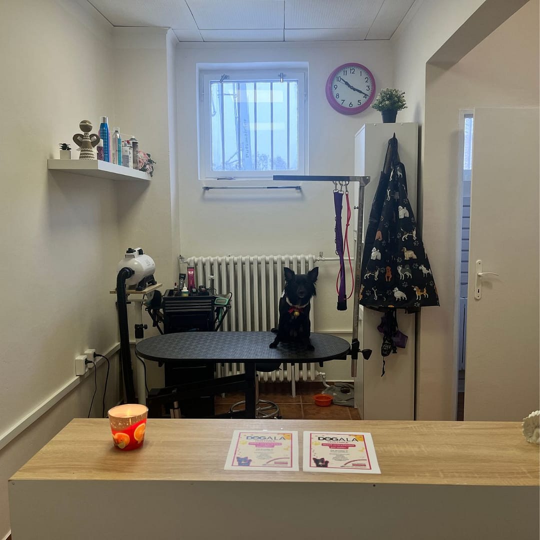 Domů 5 Psí salon Dogala Hostivice
